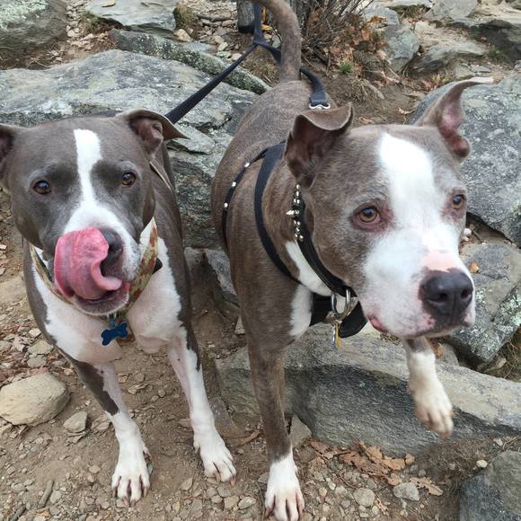 Meet your Posher, Kimberly - Picture 1 of 1